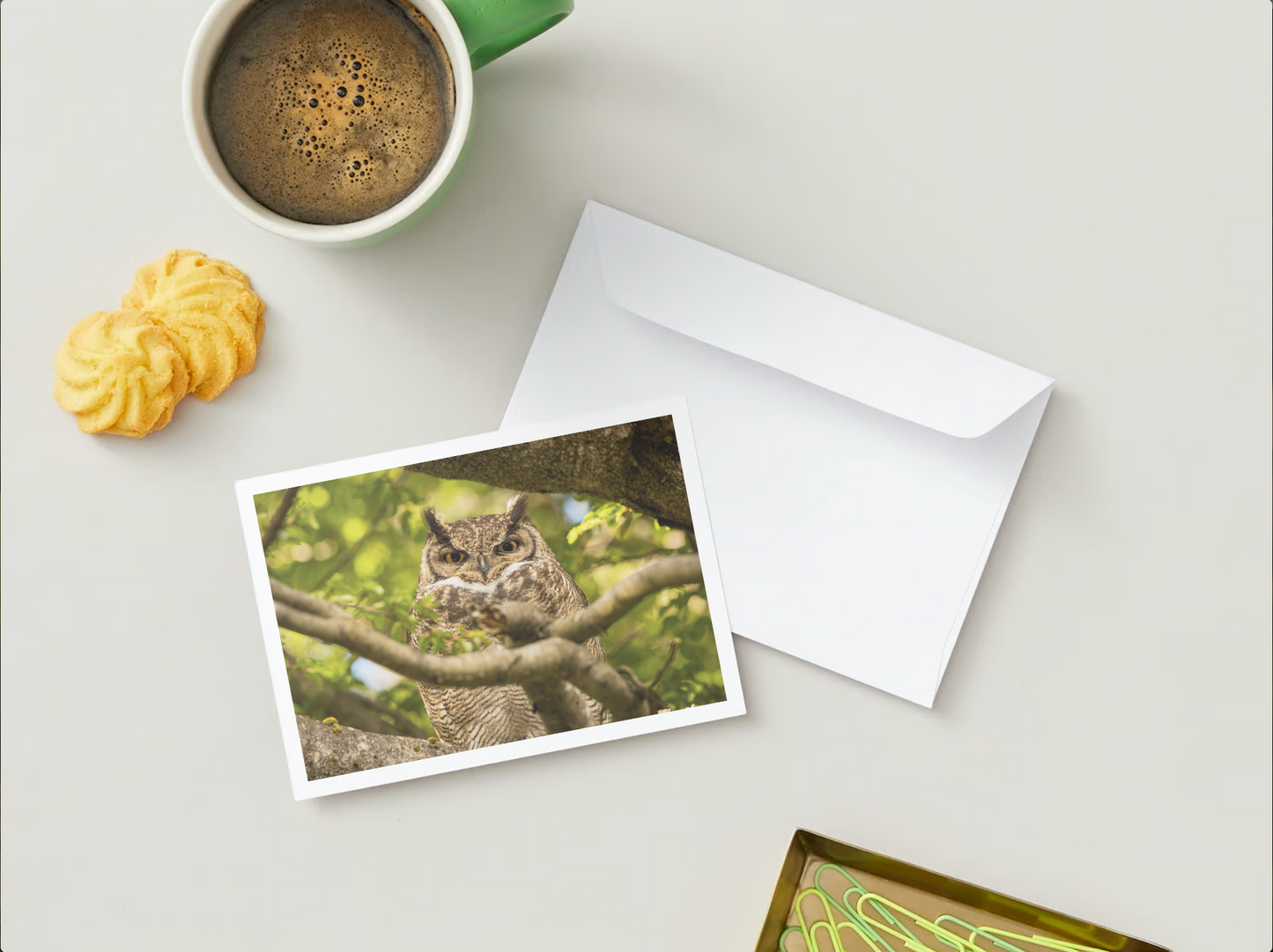 Postal Faunastica (Tucuquere)