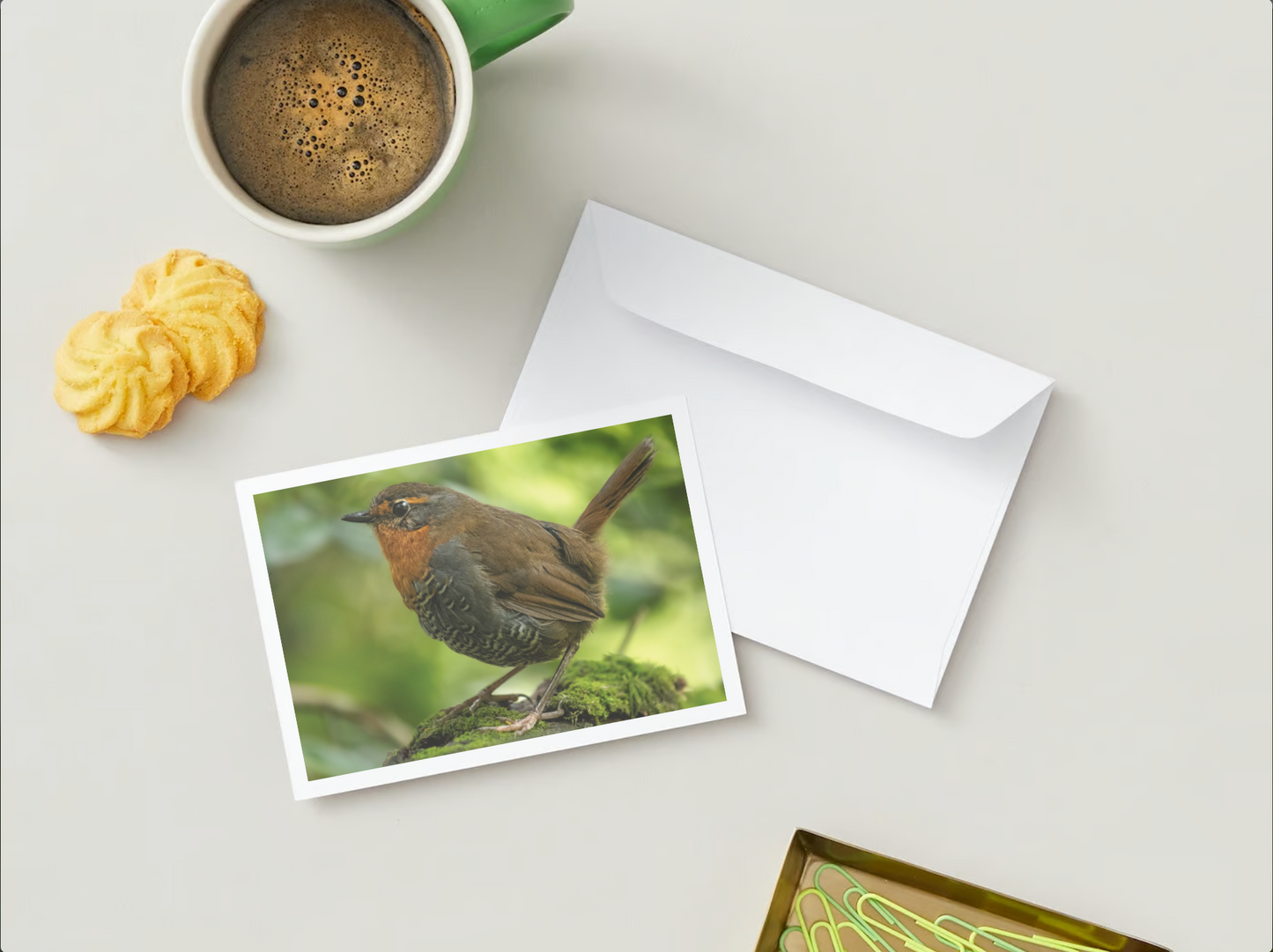 Postal Faunastica (Chucao)