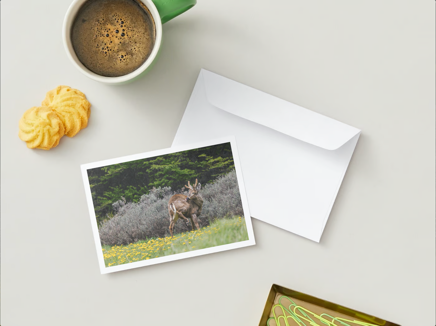 Postal Faunastica (Huemul)