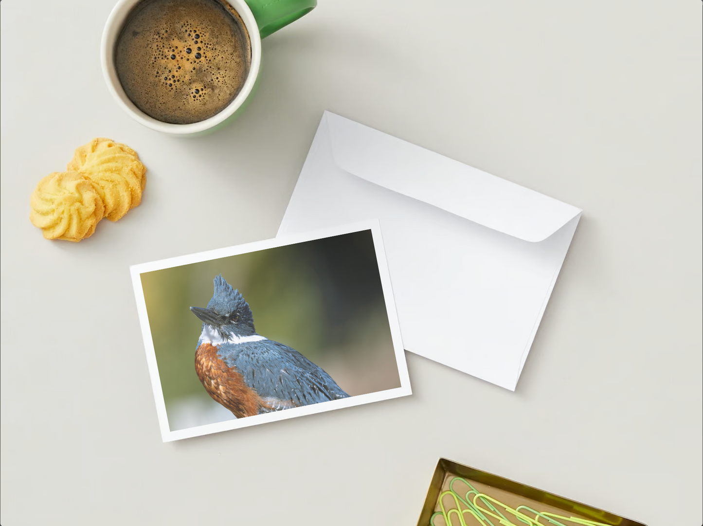 Postal Faunastica (Martin Pescador)