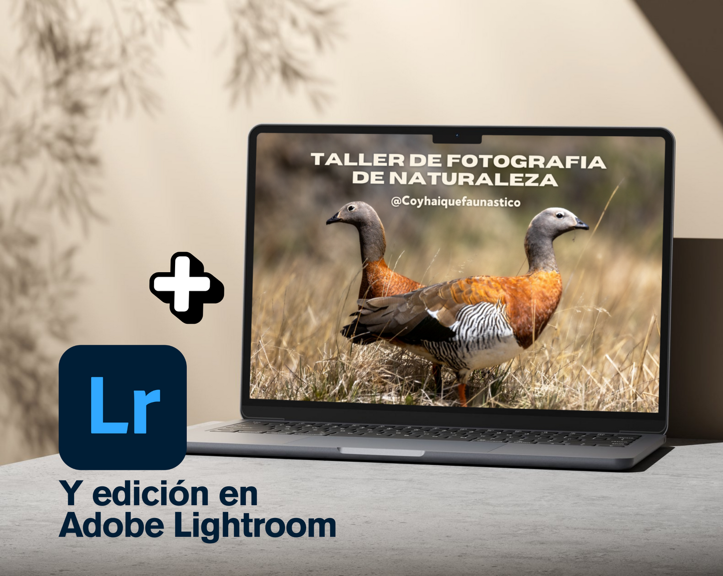 Taller de fotografía de naturaleza y edición en Lightroom GRABADO